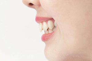 フコイダンサプリメントについて